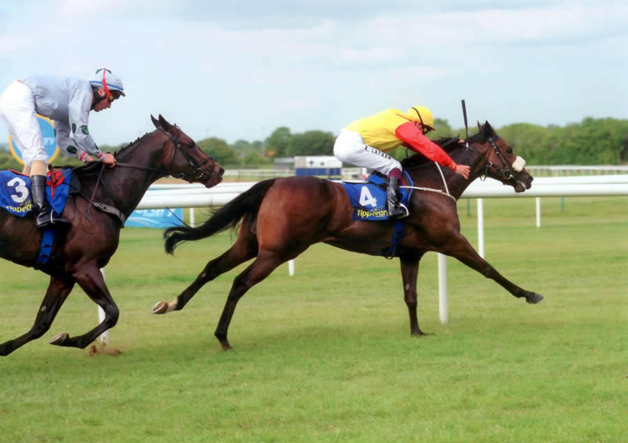 Bank On Black tipperary 24th june